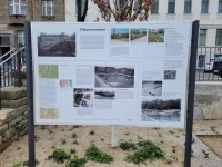 Žižkovo náměstí Praha 3 III
